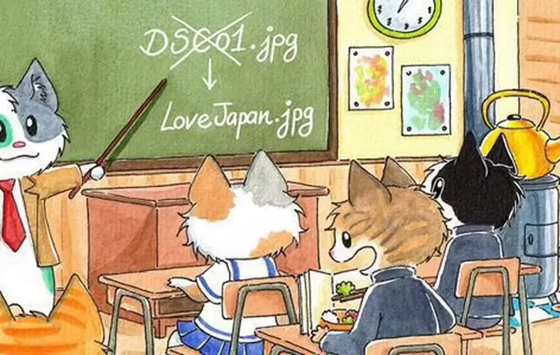 Media File Renamer Pro 6.1.3 – WordPress Plugin Media-File-Renamer-Pro