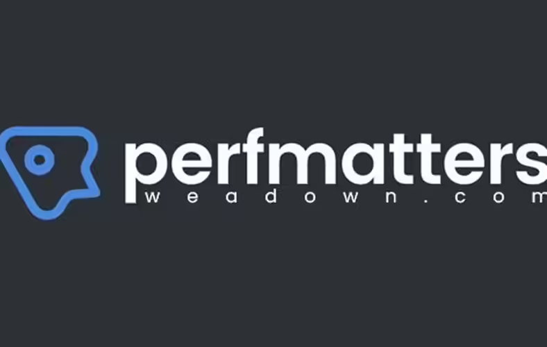 Perfmatters 2.5.0 – Lightweight WordPress Performance Plugin Perfmatters