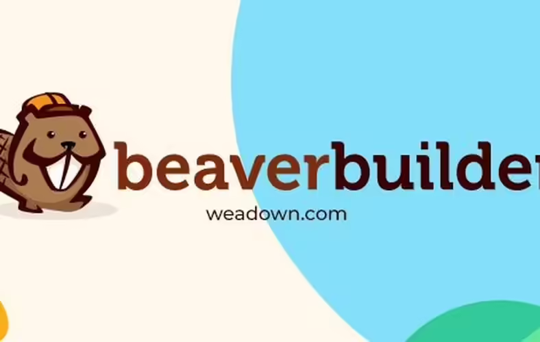 Beaver Builder Pro 2.9.4 + Themer 1.5.2 – WordPress Page Builder Plugin beaver builder pro 2 7 0 1 wordpress page builder plugin