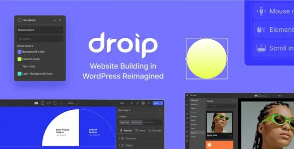 Droip 2.4.0 – No-Code WordPress Site Builder Droip